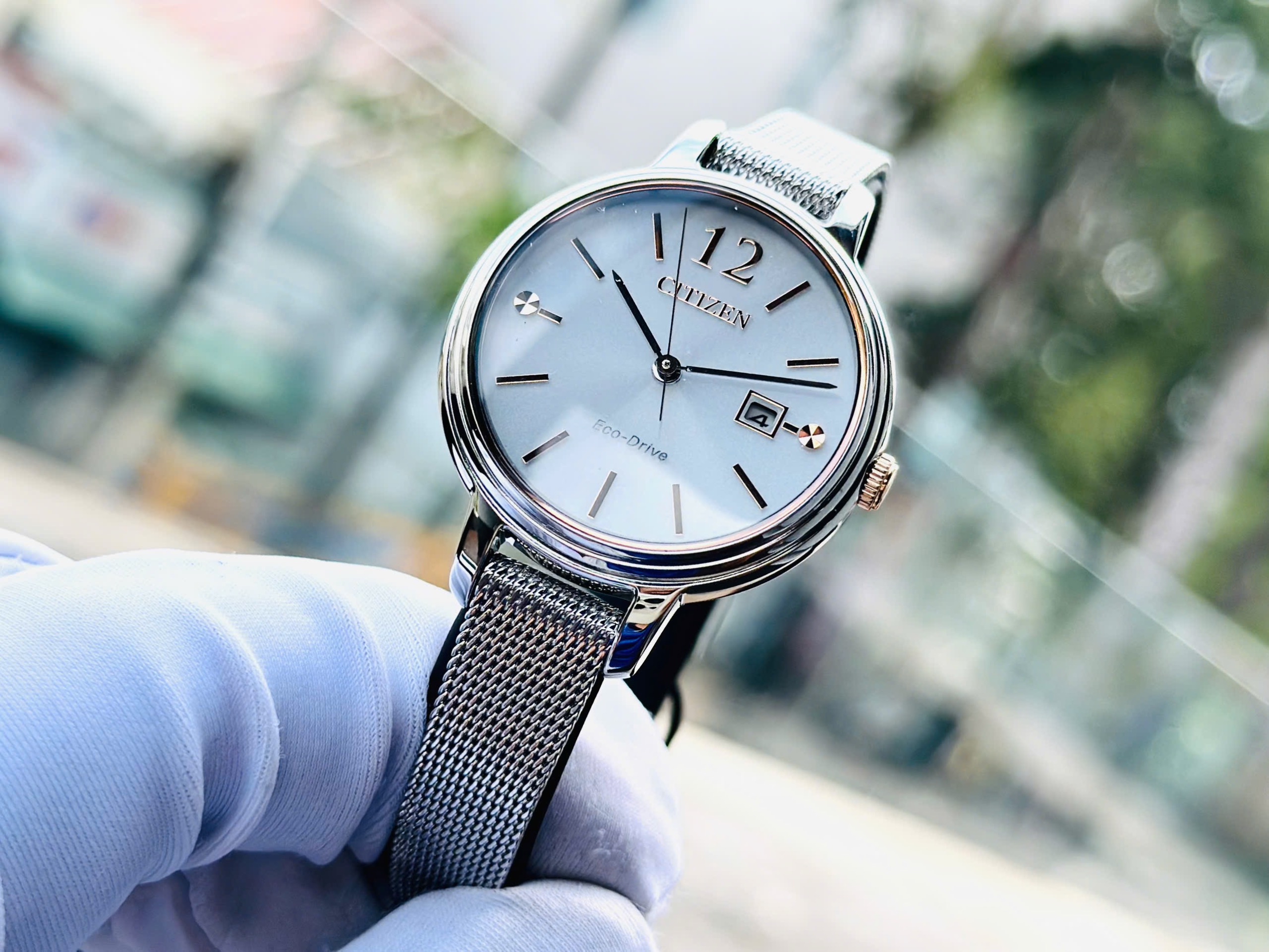 (ĐỒNG HỒ NỮ) Citizen Eco-Drive EW2441-77A Mesh Stainless Steel Date Watch ( EW244177A ) 31mm