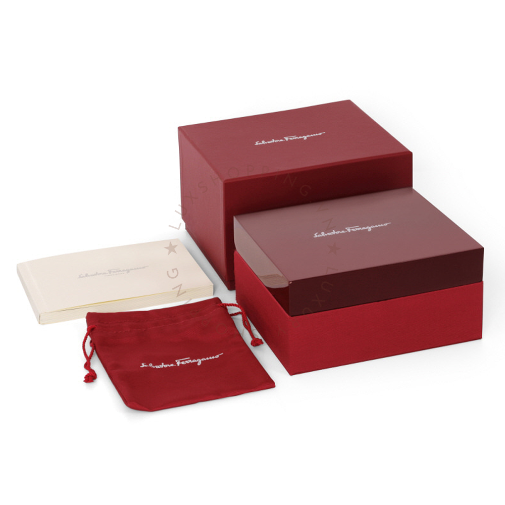 Ảnh 7 của (ĐỒNG HỒ NỮ) Salvatore Ferragamo Miroir SFMB00221 Quartz Watches 22mm