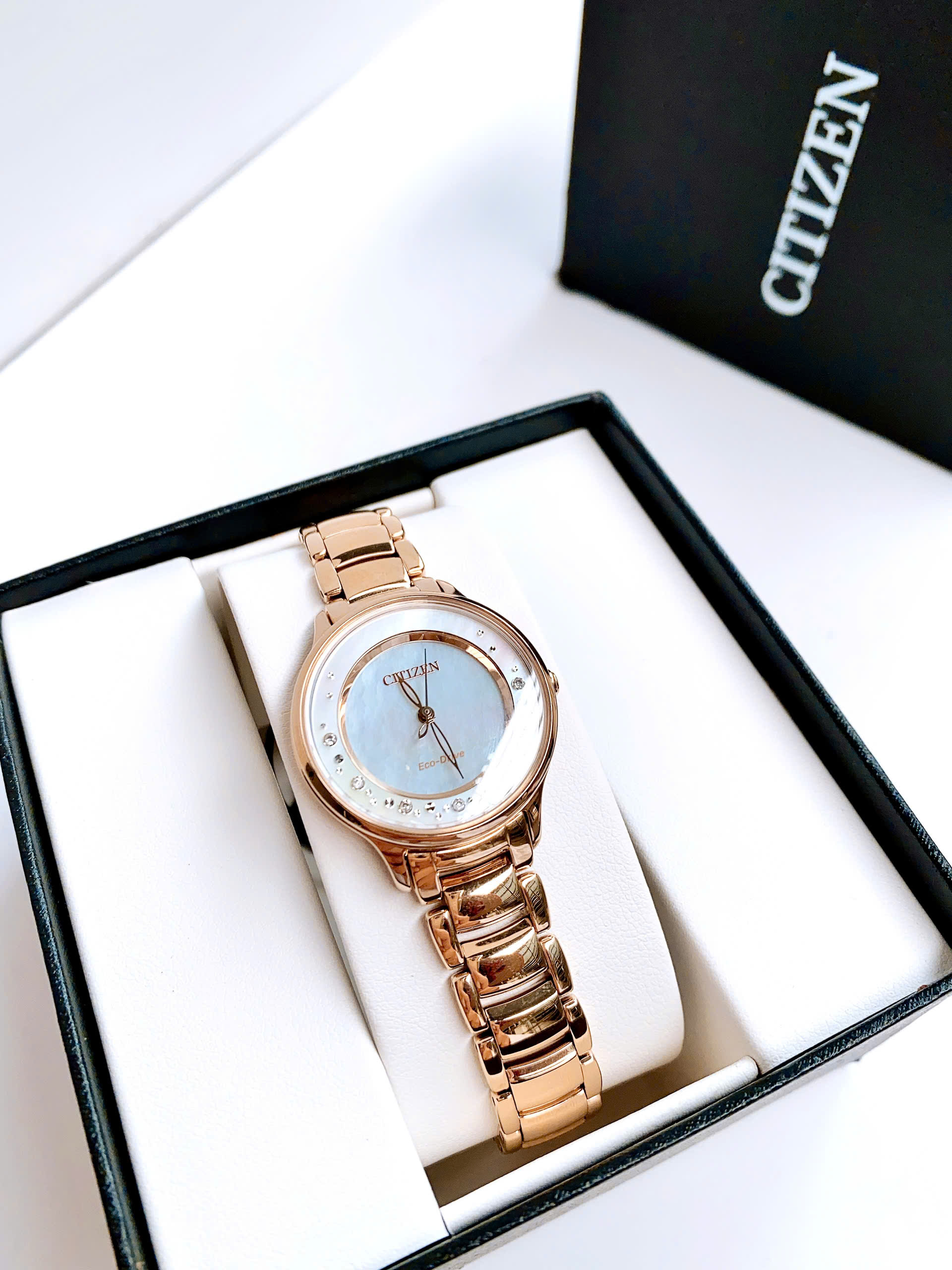 (ĐỒNG HỒ NỮ) Citizen Eco-Drive EM0382-86D ( EM038286D ) ( EM0382-51D )