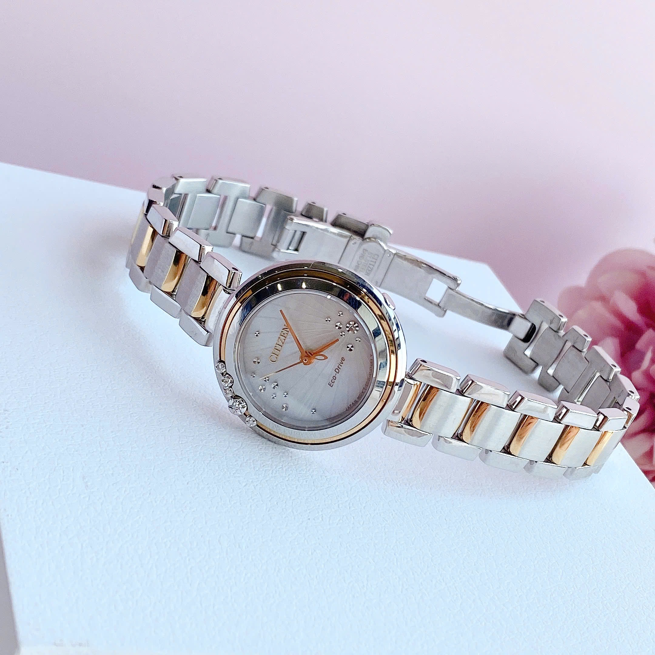 Ảnh 6 của (ĐỒNG HỒ NỮ) Citizen Eco-Drive EM0466-53N ( EM046653N )Limited Editon