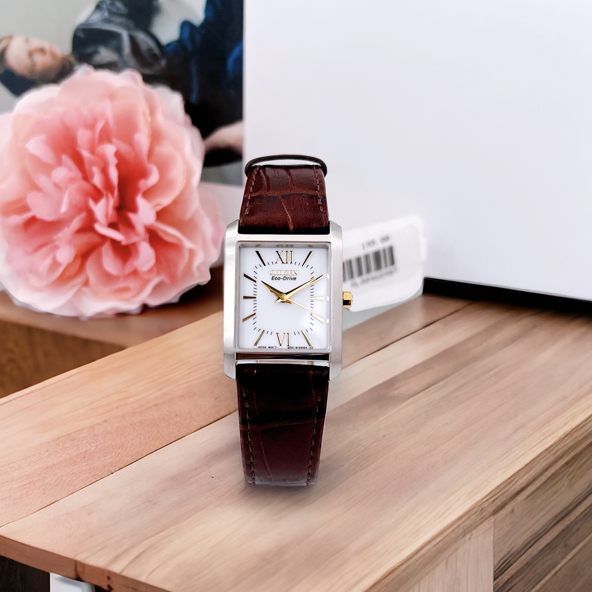 (ĐỒNG HỒ NỮ) Citizen EP591407A Eco-Drive Brown Leather Watch 26mm