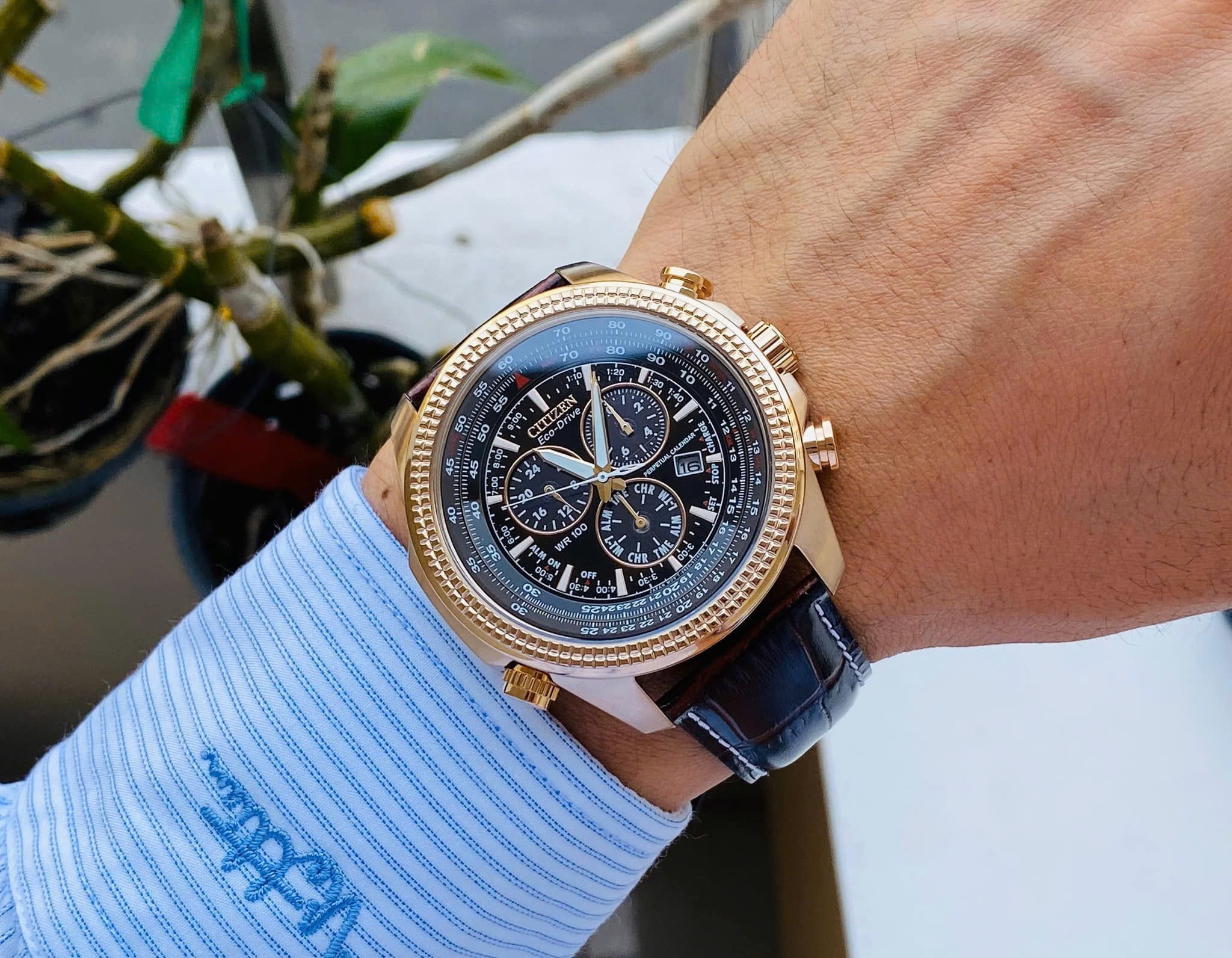 Ảnh 2 của (ĐỒNG HỒ NAM) Citizen Eco-Drive BL5403-03X Perpetual Calendar Chronograph 47mm