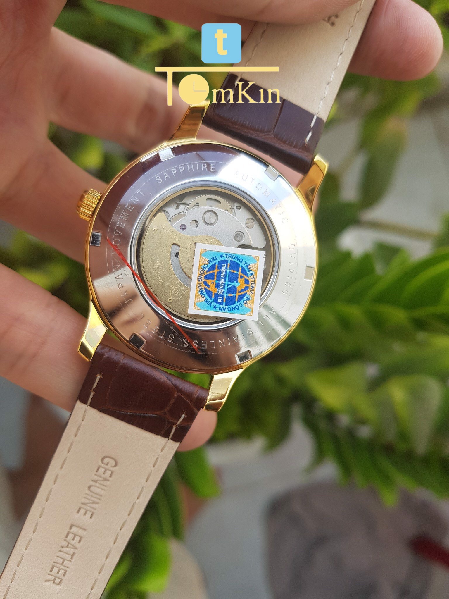 Ảnh 3 của OLYM PIANUS OP99141-71AGK-GL-T